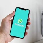 how to use WhatsApp for business, how to use WhatsApp for business purpose